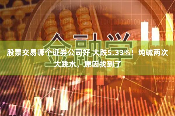 股票交易哪个证券公司好 大跌5.33%！纯碱两次大跳水，原因找到了