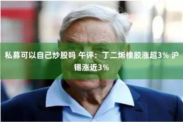 私募可以自己炒股吗 午评：丁二烯橡胶涨超3% 沪锡涨近3%